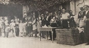 Gallo miglioratore: un’operazione tra storia e mito