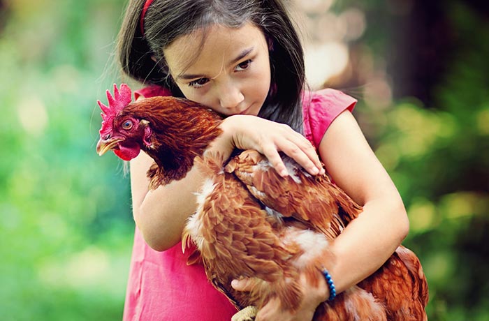 Bambina che stringe in braccio la sua gallina