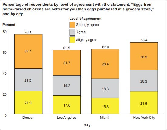 Le uova delle galline urbane sono più genuine