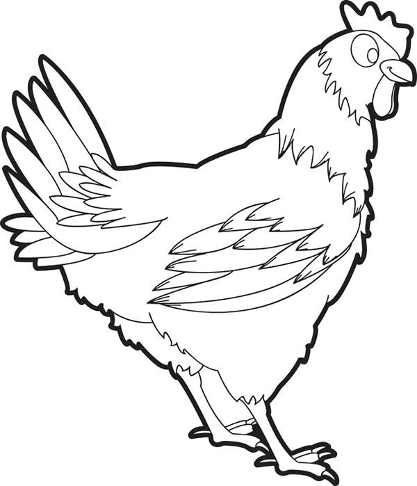 Disegni Di Gallina Gallo E Pulcino Da Scaricare E Colorare Galline Pollaio Ricette Con Uova E Video Divertenti