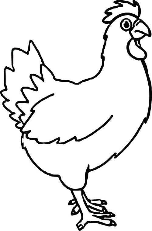 disegno di gallina da colorare