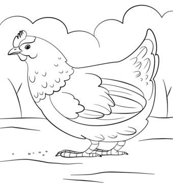 disegno di gallina da colorare