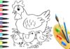 Disegni di gallina, gallo e pulcino da scaricare e colorare