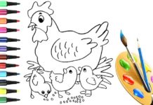 Disegni di gallina, gallo e pulcino da scaricare e colorare