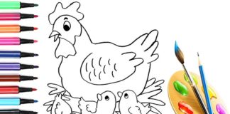 Disegni di gallina, gallo e pulcino da scaricare e colorare