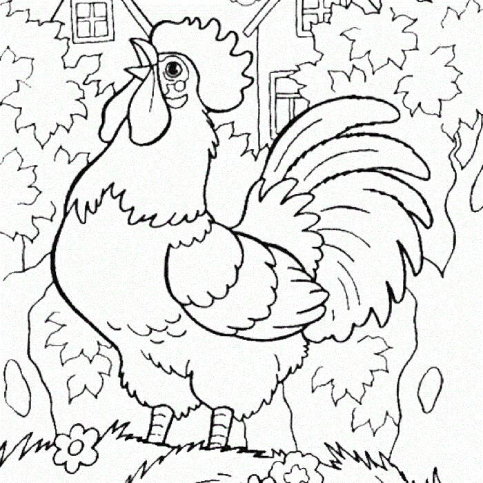 disegno di gallo da colorare