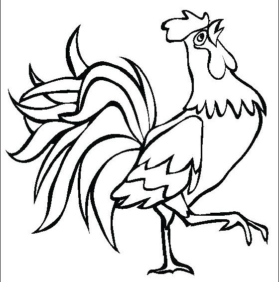 disegno di gallo da colorare