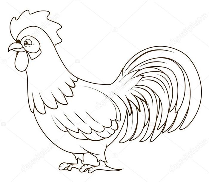 disegno di gallo da colorare