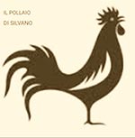 Il Pollaio di Silvano, allevamento amatoriale galline ornamentali