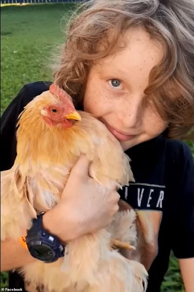 gallina Brucie con il piccolo Finn