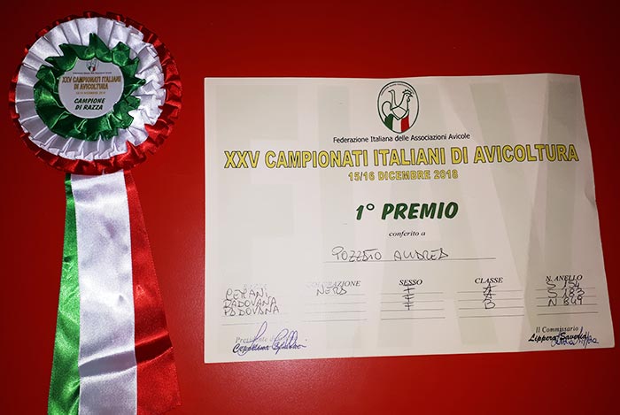 Premi Campionati Italiani Avicoltura vinti da Andrea Pozzato