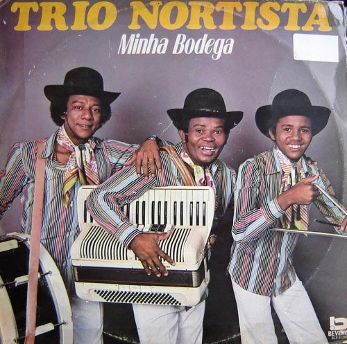 La copertina di un disco del Trio Nortista (inventori dell'originale Pulcino Pio)