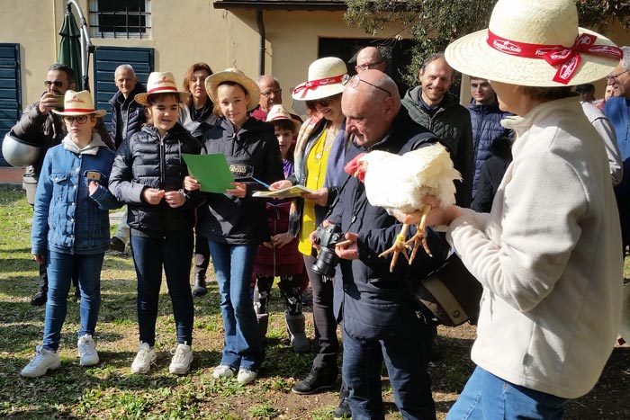 Il nome Corinna (per la gallina razza Livorno colorazione bianca, in mano alla Dott.ssa Margherita Marzoni Fecia di Cossato).