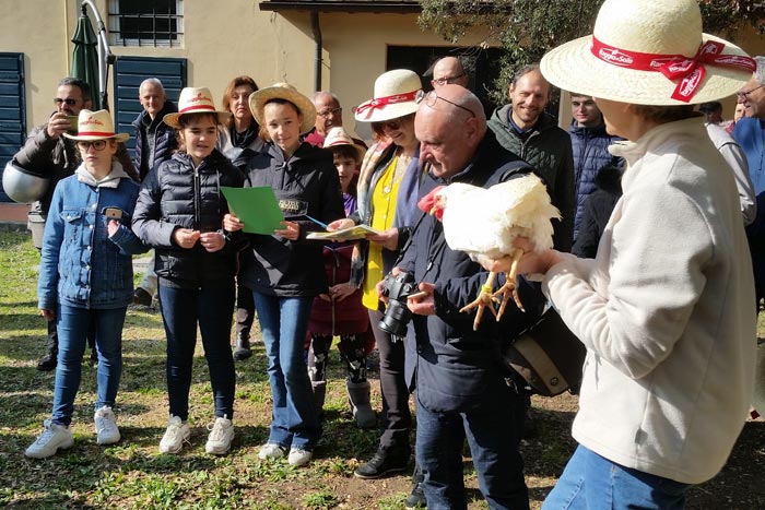 Il nome Corinna (per la gallina razza Livorno colorazione bianca, in mano alla Dott.ssa Margherita Marzoni Fecia di Cossato).