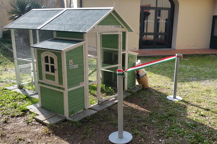 La casa delle galline livornesi pronta per l'inaugurazione