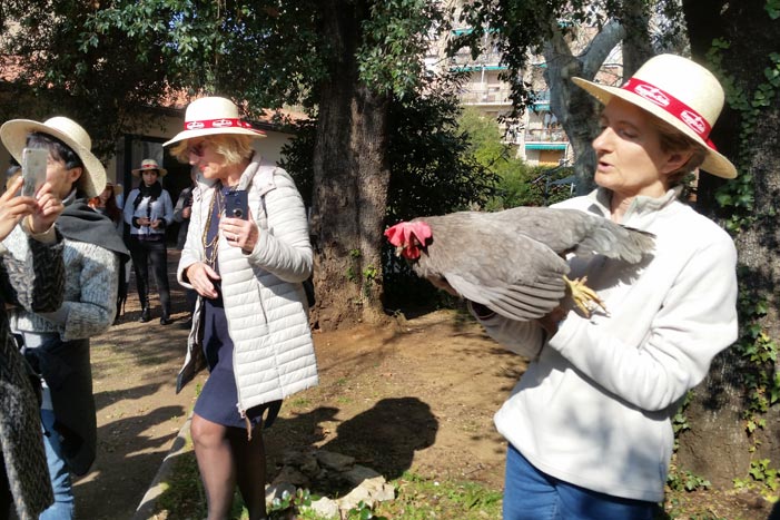 Il nome Argia (per la gallina razza Livorno colorazione blu, in mano alla Dott.ssa Margherita Marzoni Fecia di Cossato).