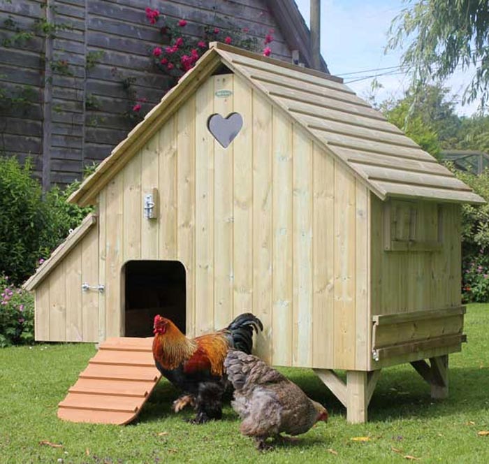 Un bellissimo esempio di pollaio urbano collocato in un giardino