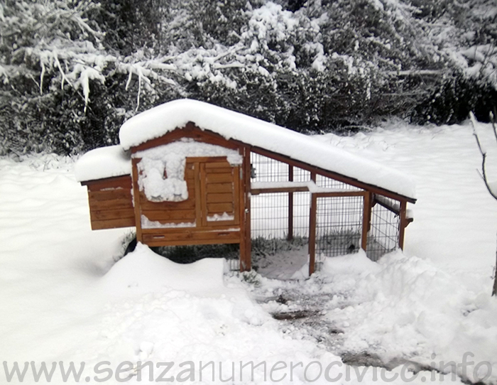 Pollaio in legno (dotato di run)