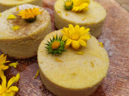 Pudding dolce di ricotta, cannella e agrumi: ricetta e come servirlo | Tuttosullegalline.it