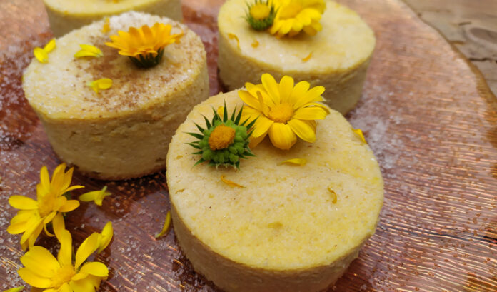 Pudding dolce di ricotta, cannella e agrumi: ricetta e come servirlo | Tuttosullegalline.it