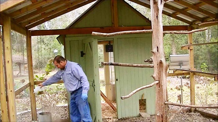 Terra di Diatomee: pro e contro del suo utilizzo nel pollaio - Galline,  Pollaio, Ricette con Uova e Video divertenti