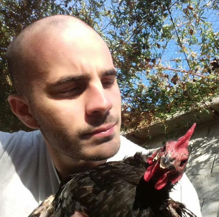 Le galline secondo Marco Celletti