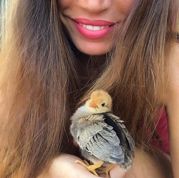 Le galline secondo Marica Mazzocchini