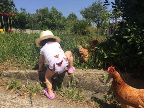 Le galline secondo Romina Sedda