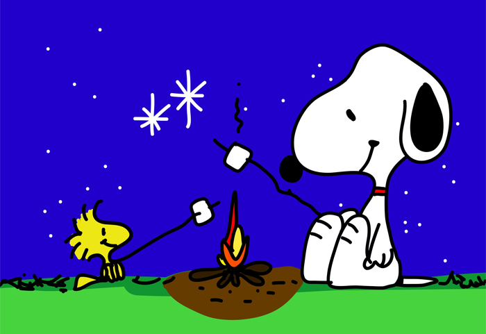 Snoopy e Woodstock e i loro "toasted marshmallow" attorno al fuoco, sotto ad un cielo stellato