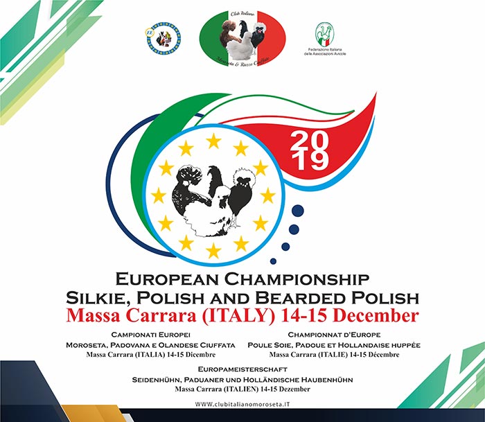 Campionato Europeo della Moroseta, Padovana e Olandese ciuffata, Carrara, 2019