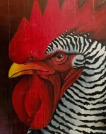 Il Pollaio di Casetta Rossa | Allevamento avicolo amatoriale galline razza Amrock