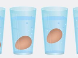 Test uova fresche