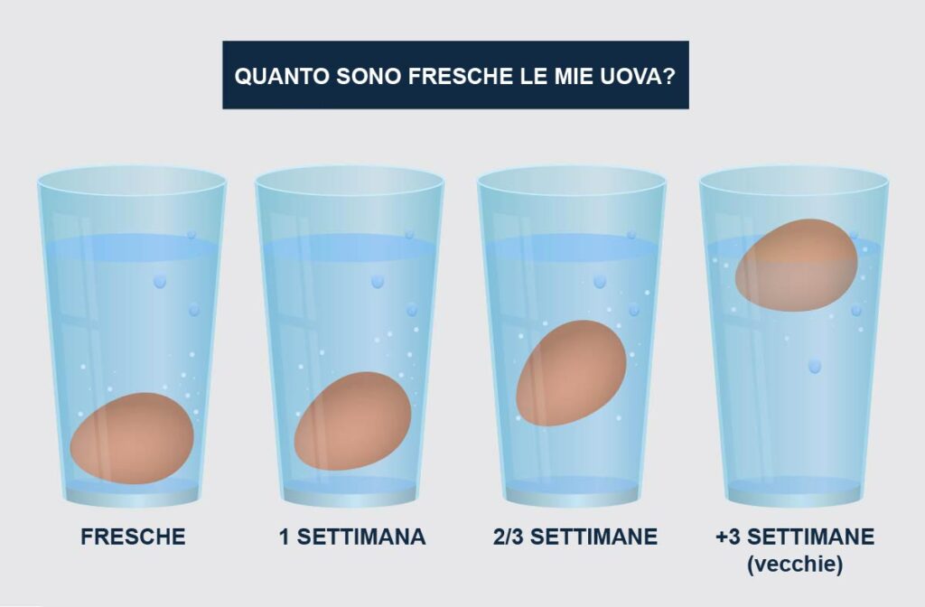 
Davvero? 43+  Verità che devi conoscere  Uova Che Galleggiano: Check spelling or type a new query.
