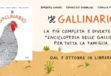 Il Gallinario, libro illustrato sul mondo delle galline | Autori: Camilla Pintonato, Barbara Sandri e Francesco Giubbilini
