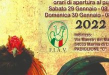 27° Campionati Italiani di Avicoltura (Carrara) - 29/30 Gennaio 2022 | Tuttosullegalline.it