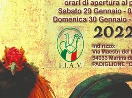 27° Campionati Italiani di Avicoltura (Carrara) - 29/30 Gennaio 2022 | Tuttosullegalline.it