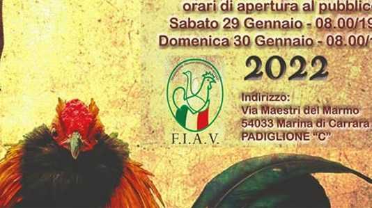 27° Campionati Italiani di Avicoltura (Carrara) - 29/30 Gennaio 2022 | Tuttosullegalline.it