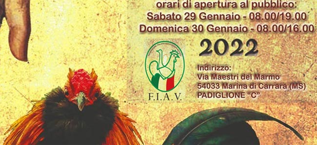 27° Campionati Italiani di Avicoltura (Carrara) - 29/30 Gennaio 2022 | Tuttosullegalline.it