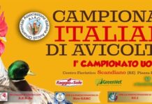 Campionati Italiani Avicoltura - 9/10 Dicembre 2023 (Scandiano, RE) | Tuttosullegalline.it