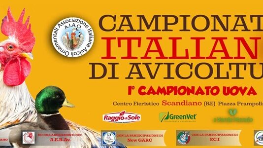 Campionati Italiani Avicoltura - 9/10 Dicembre 2023 (Scandiano, RE) | Tuttosullegalline.it