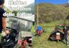 Galline al pascolo col “pollaio mobile”, sempre su un prato diverso Pollaio mobile - autobus delle galline