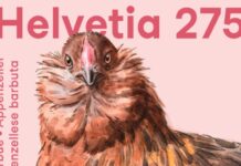 Salvare razze a rischio: la gallina appenzellese sui francobolli svizzeri Salvare razze a rischio: la gallina appenzellese barbuta sui francobolli della posta svizzera